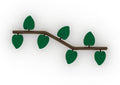 Leaf Balance Steps