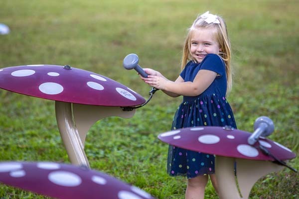 Mushroom Ensemble