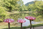 Mushrooms - Image 5