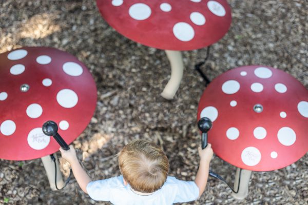 Mushroom Ensemble - Image 3