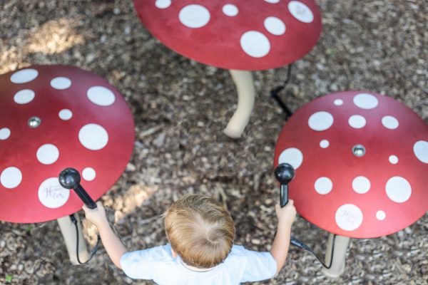 Mushrooms - Image 4