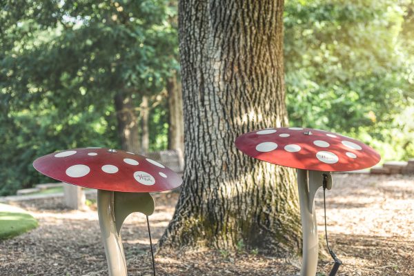 Mushroom Ensemble - Image 4