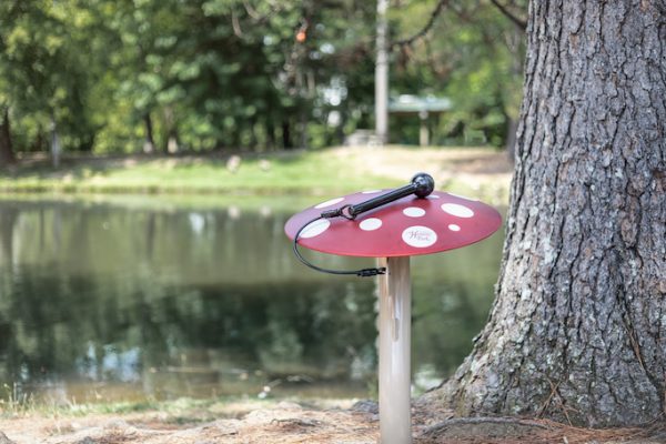 Mushrooms - Image 2