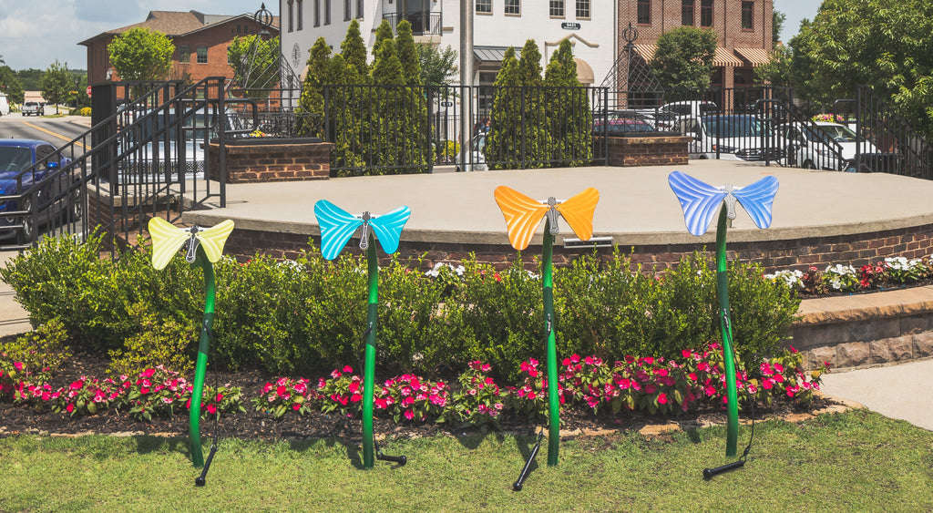 Butterfly Ensemble