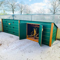 Double Modern Trike Shed